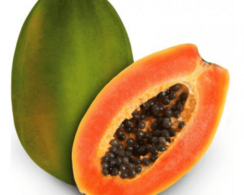 Paw paw
