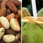 HEALTH: Mixture of Coconut Water and Bitter Kola