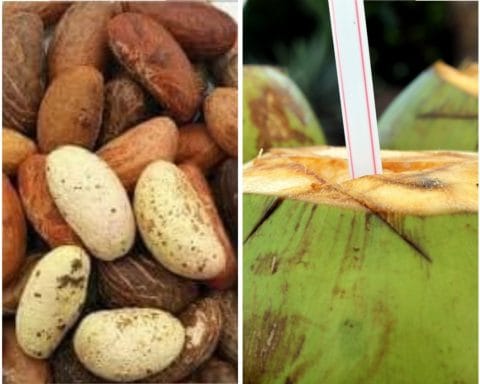 HEALTH: Mixture of Coconut Water and Bitter Kola